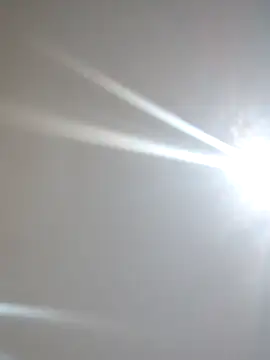 Snapshot of xnegritx chatting on April 2026 04:30:02 AM xnegritx online show from April 2026 04:30:02 AM