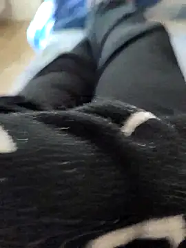 pericolo90 online show from April 2026 09:11:01 AM