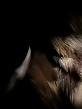 Snapshot of Nonamebadboy7 chatting on March 2026 04:15:02 AM Nonamebadboy7 online show from March 2026 04:15:02 AM