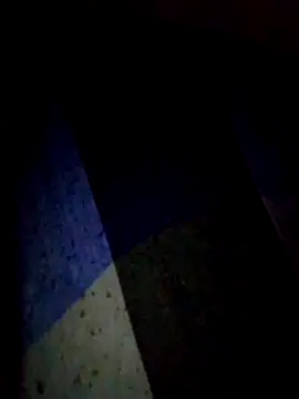 Talkwithsex online show from February 2026 11:47:02 PM