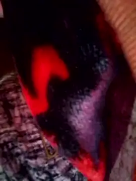 Talkwithsex online show from March 2026 02:46:01 AM