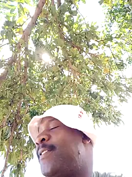 Sbuda3159 online show from February 2026 11:41:01 AM