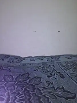 Sakeemaxxy online show from April 2026 09:08:02 PM