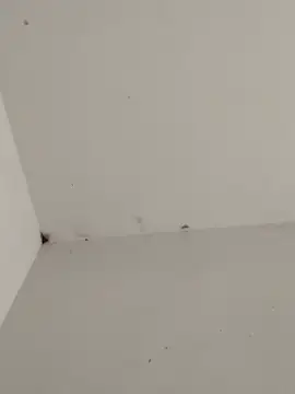 -for-you- online show from February 2026 11:44:02 AM