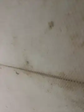 Miu Xinh online show from April 2026 05:05:02 PM