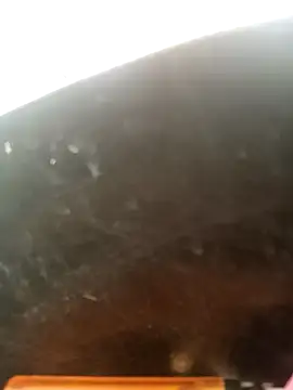 perrit17 online show from March 2026 07:08:01 PM