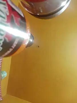 perrit17 online show from April 2026 03:13:01 AM