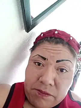 perrit17 online show from February 2026 11:49:01 PM