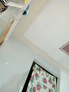 perrit17 online show from March 2026 05:17:02 PM