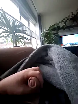 Bashard online show from February 2026 07:41:01 AM