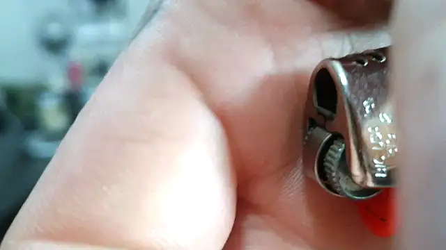 F D R  online show from April 2026 08:22:01 PM