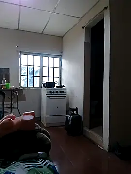 polla large active online show from April 2026 09:38:02 PM