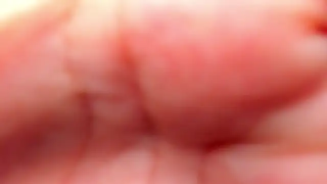 RinaFox   online show from February 2026 01:18:02 AM