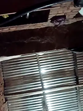 Hot ree64 online show from March 2026 05:25:04 PM