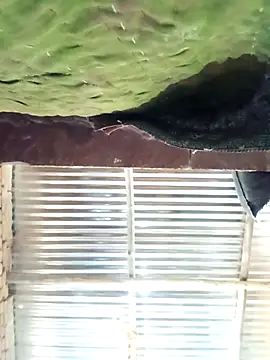 Hot ree64 online show from March 2026 07:24:01 AM