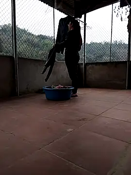 LiilyZi online show from March 2026 01:46:01 AM