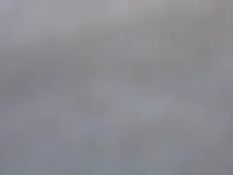 Dini 40 online show from February 2026 01:29:01 PM