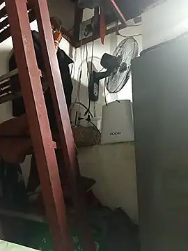 Wildcam21 online show from February 2026 06:35:01 AM