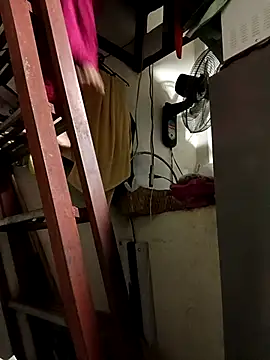 Wildcam21 online show from February 2026 05:19:01 AM