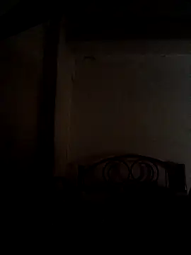 Wildcam21 online show from February 2026 09:12:02 PM