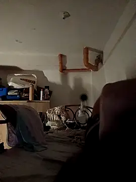 Wildcam21 online show from February 2026 05:21:02 PM