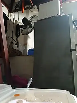 Wildcam21 online show from February 2026 09:54:01 AM