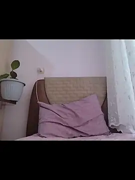 boraaily online show from February 2026 12:28:02 PM