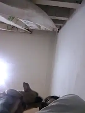 CubanoxxxSex online show from February 2026 05:13:01 PM