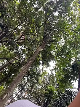 Gael Velaryx online show from April 2026 03:30:01 PM