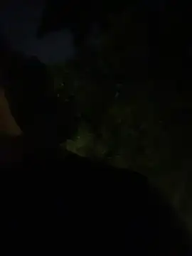 Gael Velaryx online show from April 2026 03:13:02 AM