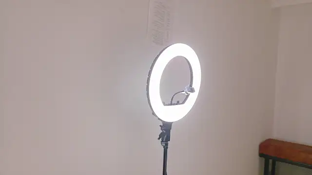 FernandaBrown   online show from February 2026 12:37:01 PM