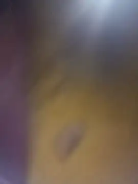 cuunon11 online show from February 2026 12:08:01 AM