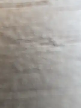 Snapshot of manish_8826 chatting on February 2026 08:47:02 AM manish 8826 online show from February 2026 08:47:02 AM