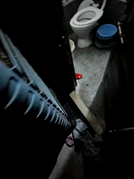 desimuslimcouple23 online show from March 2026 06:08:01 PM