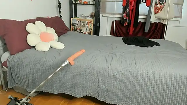 CalmFever online show from February 2026 01:19:01 PM