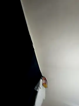 baby 22cm online show from February 2026 01:38:01 AM