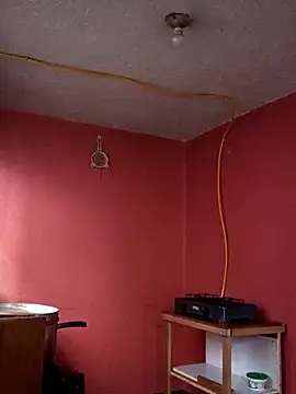 baby 22cm online show from March 2026 11:59:01 AM