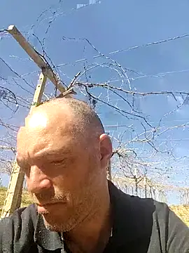 circott online show from February 2026 12:18:02 PM