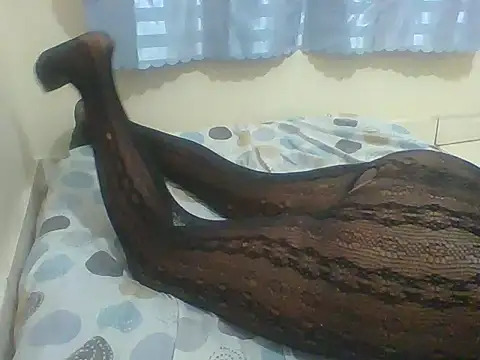 Latin toes online show from February 2026 09:33:02 AM