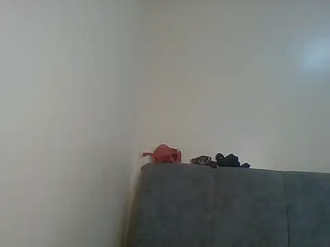 Latin toes online show from February 2026 07:19:02 AM