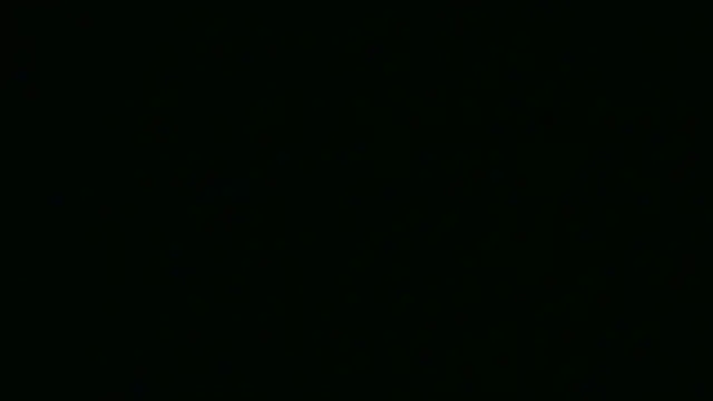 xxBabyDoll online show from March 2026 05:53:02 AM