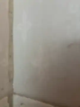 Ronny69y online show from February 2026 06:26:01 AM