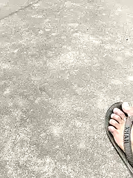 Snapshot of collboy8166 chatting on February 2026 06:12:02 AM collboy8166 online show from February 2026 06:12:02 AM