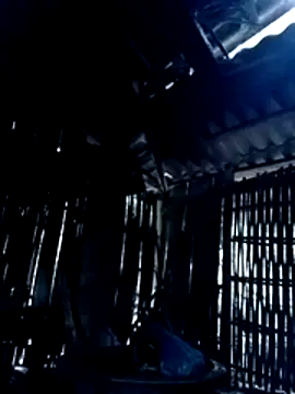 Nhoccon90 online show from February 2026 01:06:02 AM