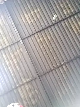 Linka998 online show from March 2026 04:45:01 AM