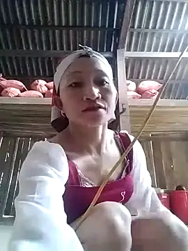 Linka998 online show from March 2026 06:03:01 AM