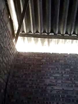 Linka998 online show from March 2026 02:15:02 AM