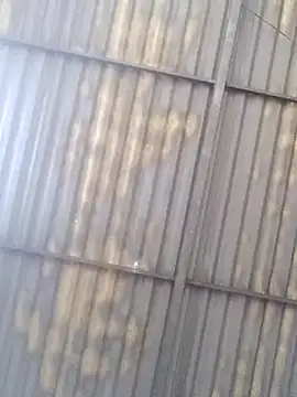 Linka998 online show from March 2026 04:43:01 AM