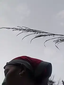 Linka998 online show from March 2026 11:11:01 AM