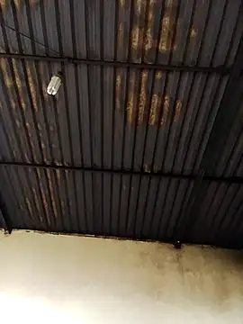 Linka998 online show from April 2026 05:25:01 AM